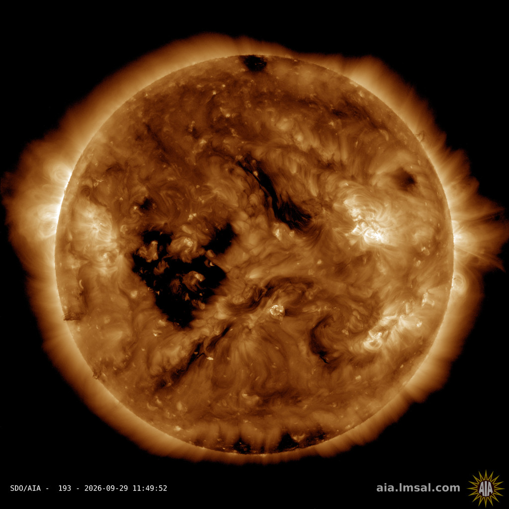 SDO AIA 193 Coronal Holes